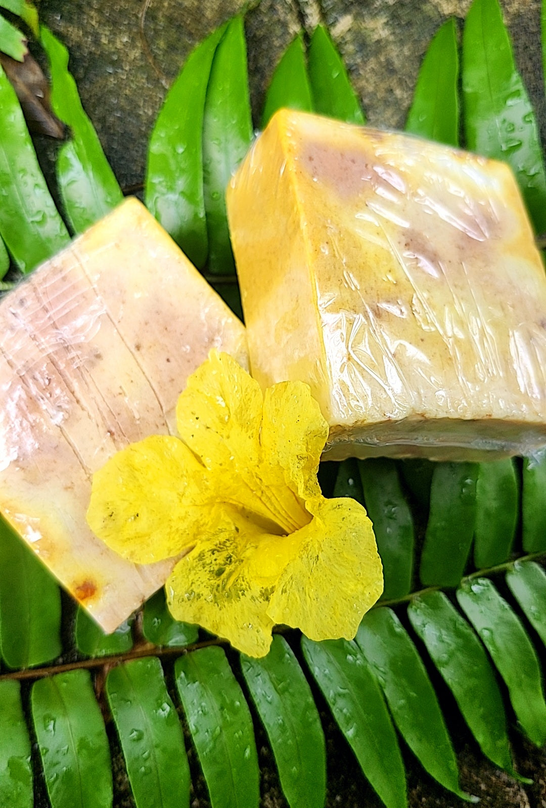 Naptura'ly " Pineapple Gin-Ja n Turmeric " Soap